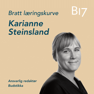 Karianne Steinsland cover